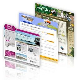 Website-Design-Development-Examples